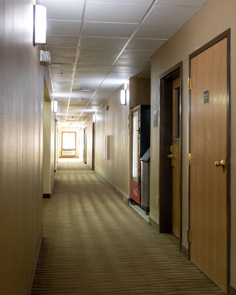 Red Roof Inn Newport News - Yorktown Exteriör bild